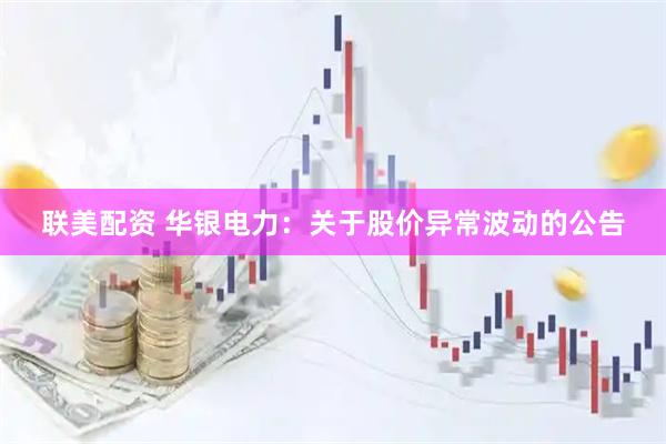联美配资 华银电力：关于股价异常波动的公告