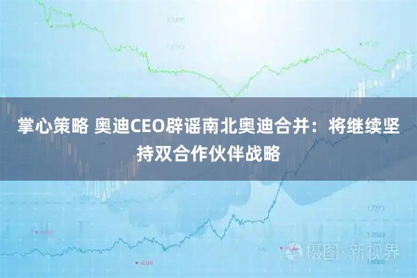掌心策略 奥迪CEO辟谣南北奥迪合并：将继续坚持双合作伙伴战略