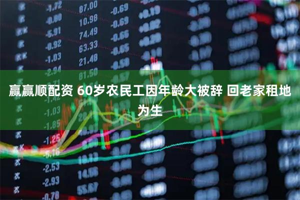 赢赢顺配资 60岁农民工因年龄大被辞 回老家租地为生