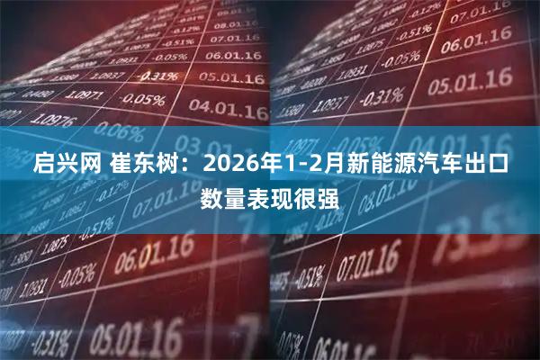 启兴网 崔东树：2026年1-2月新能源汽车出口数量表现很强