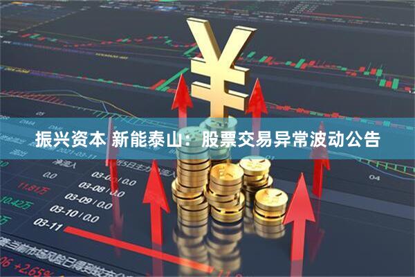 振兴资本 新能泰山：股票交易异常波动公告