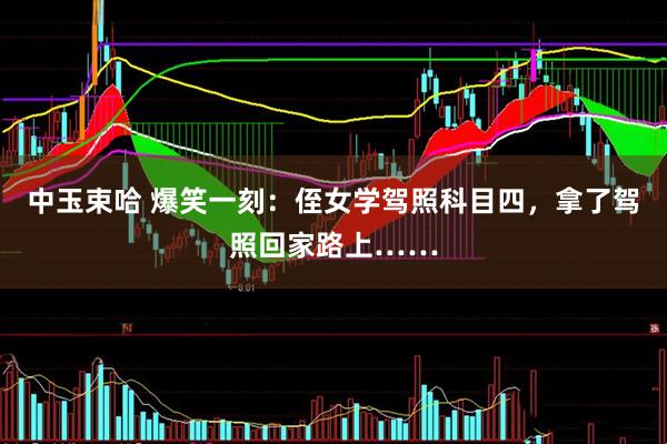 中玉束哈 爆笑一刻：侄女学驾照科目四，拿了驾照回家路上……