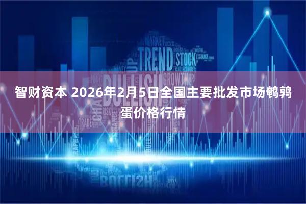 智财资本 2026年2月5日全国主要批发市场鹌鹑蛋价格行情