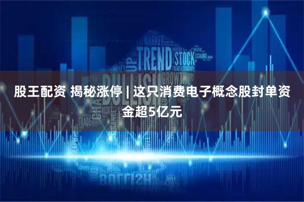 股王配资 揭秘涨停 | 这只消费电子概念股封单资金超5亿元