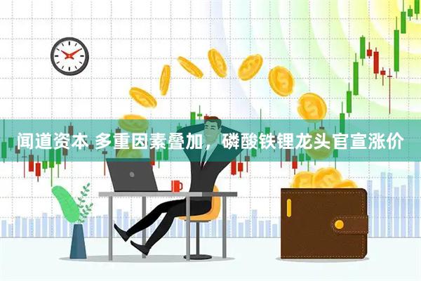 闻道资本 多重因素叠加，磷酸铁锂龙头官宣涨价